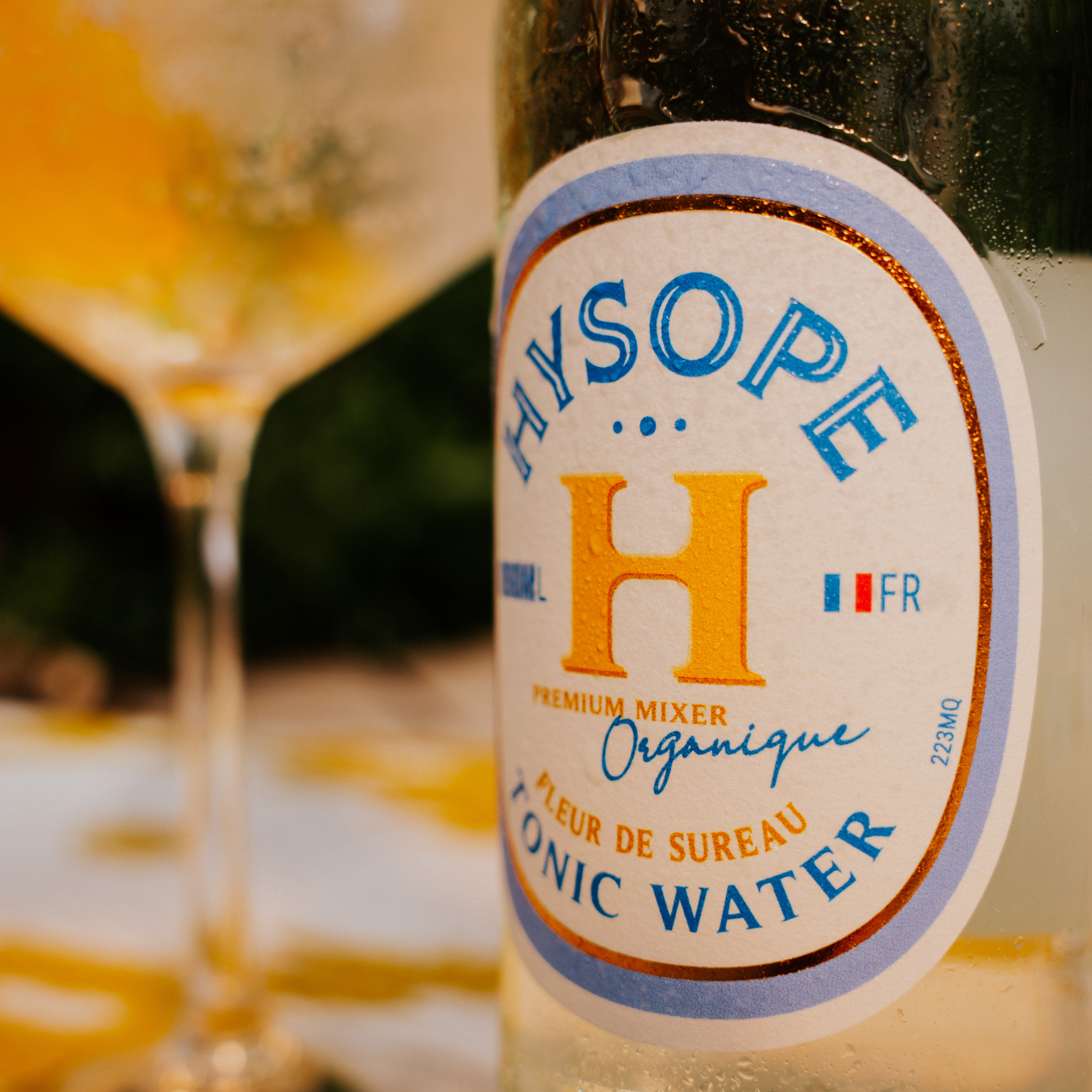 Zoom sur le Tonic Fleur de Sureau Hysope du Gin To' Sureau