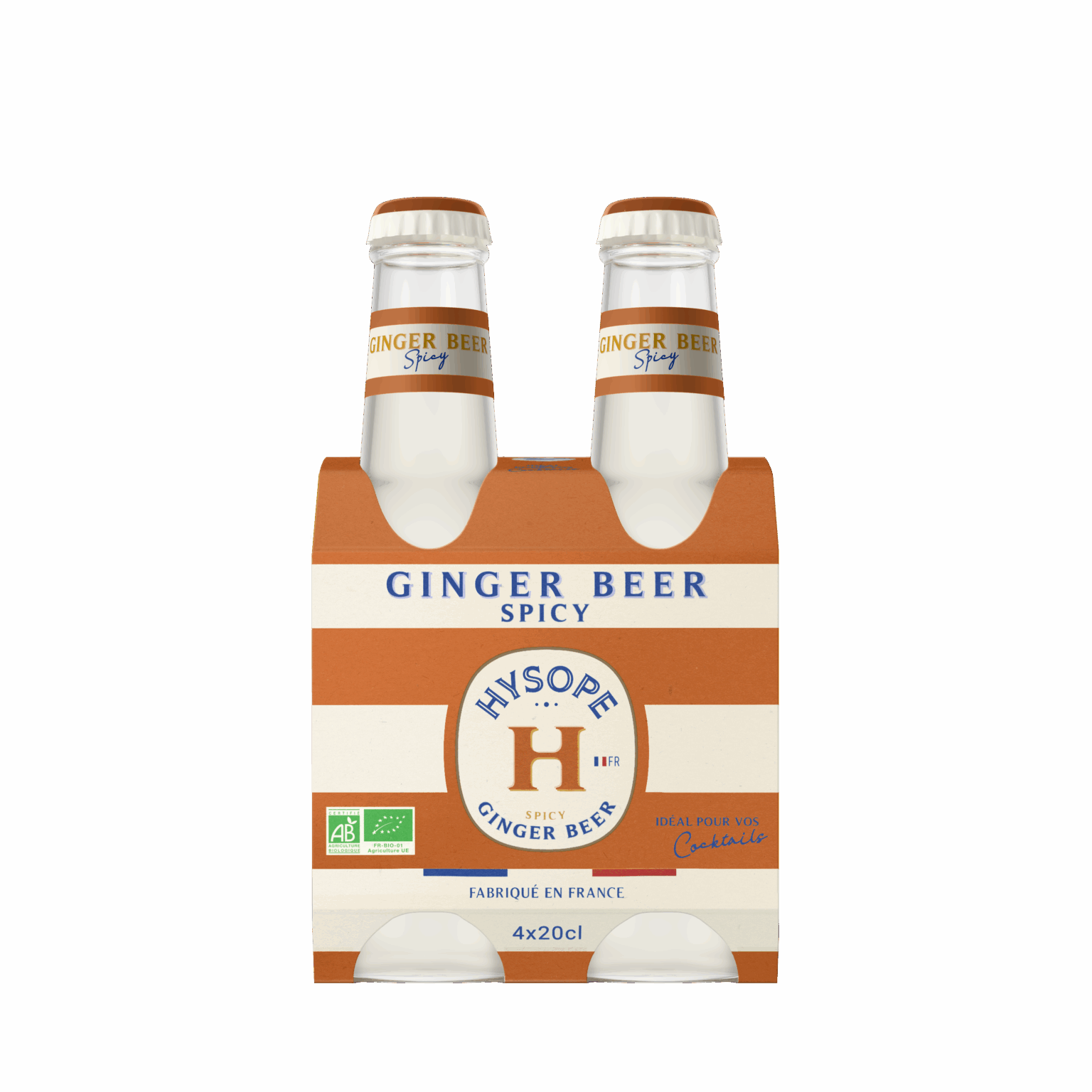 Cluster de 4 bouteilles de la Ginger Beer Spicy Hysope
