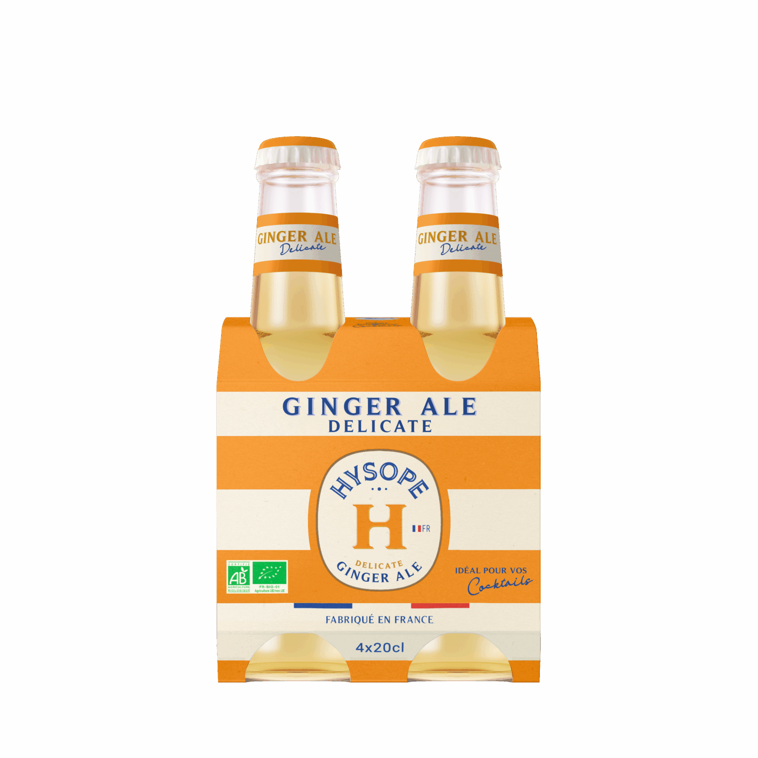 Cluster de 4 bouteilles de la Ginger Ale Delicate Hysope
