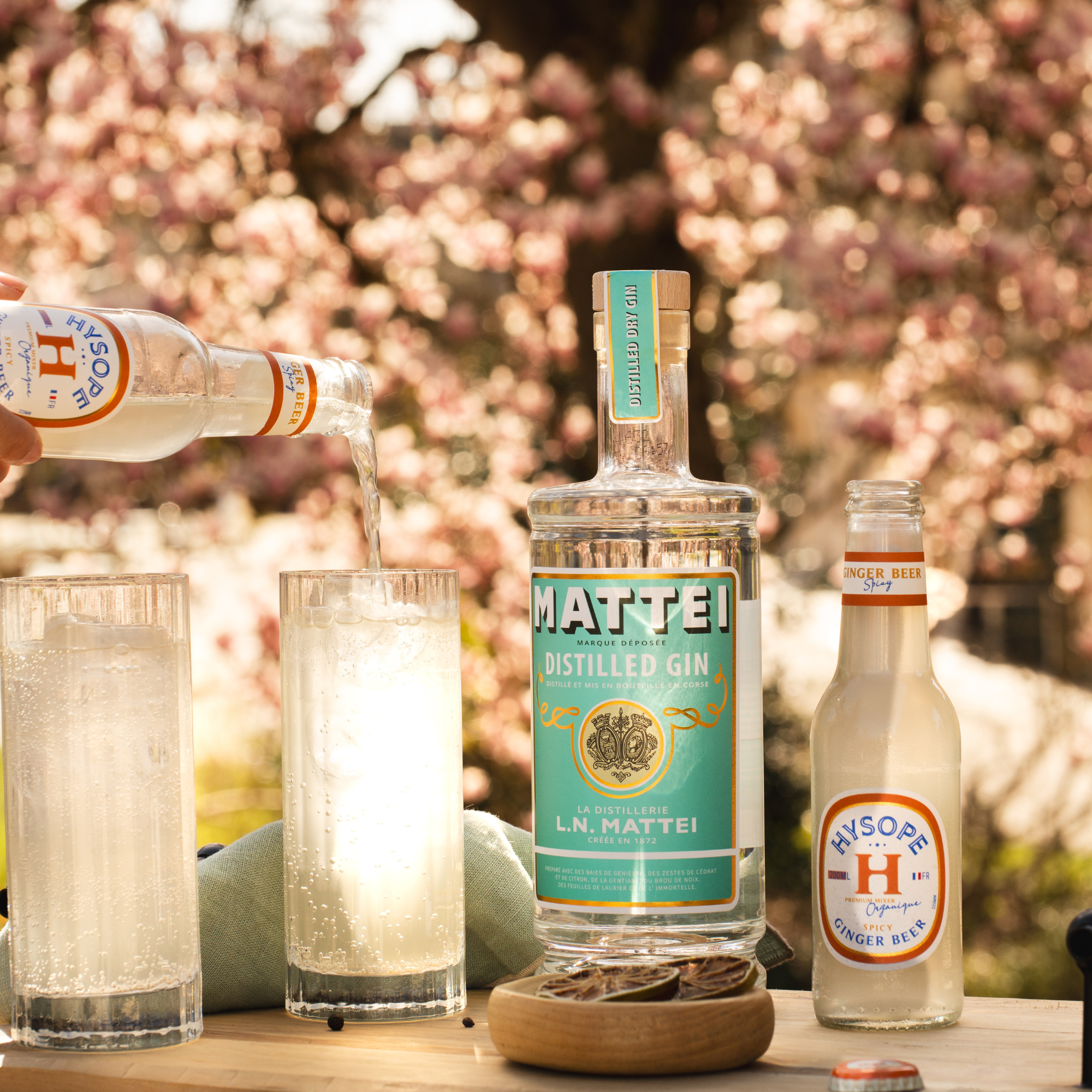 Le Corsican Mule à base de Ginger Beer Spicy Hysope et du Gin Mattei