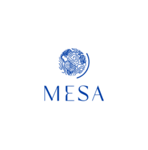 Retrouvez Hysope derrière le bar du Mesa à Lille !