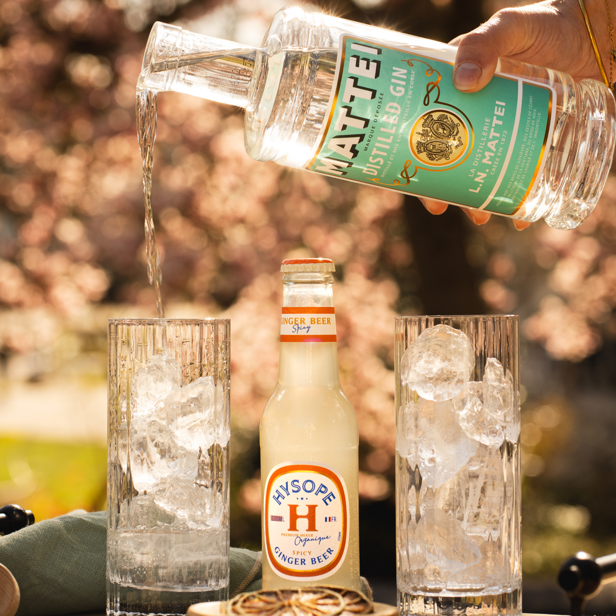 Le cocktail Corsican Mule à base de Distilled Dry Gin Mattei et de Ginger Beer Spicy Hysope