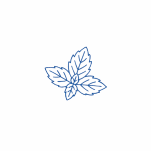 Feuille de menthe pour garnir ses cocktails avec les tonics Hysope