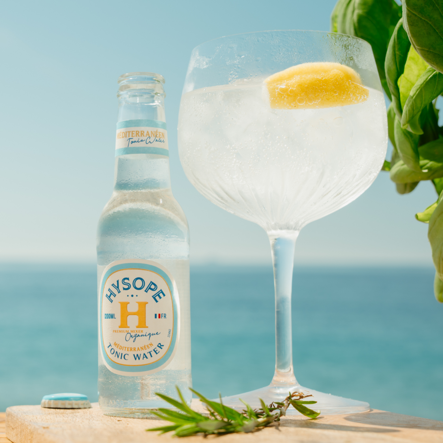 Tonic Water Méditerranéen Hysope