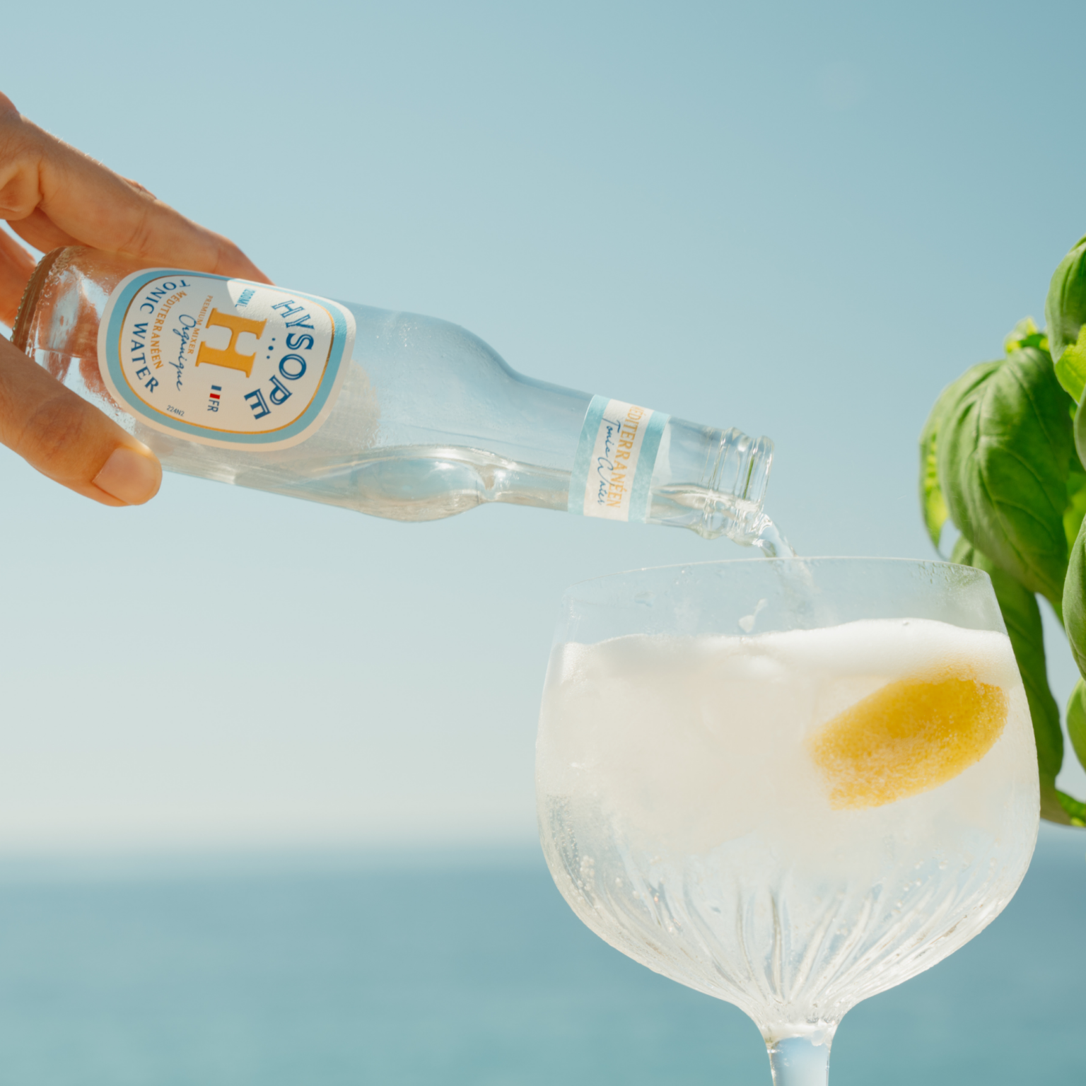 Tonic Water Méditerranéen Hysope basilic thym