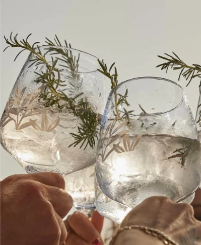 Gin tonic méditerranéen thym basilic romarin