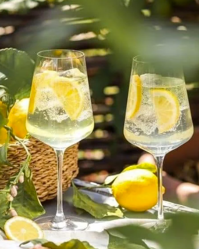 spritz méditerranéen riviera thym basilic romarin tonic water
