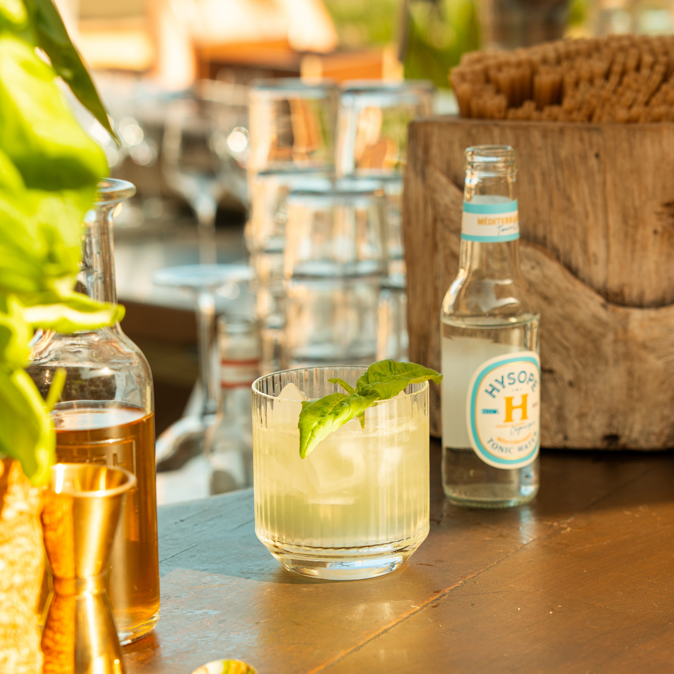 the south basil smash hysope